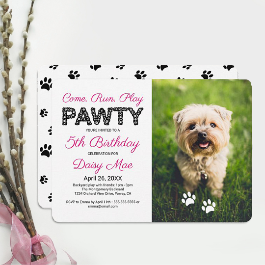 Pet Birthday Party Designs by Purple Cat Arts